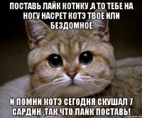 поставь лайк котику ,а то тебе на ногу насрет котэ твое или бездомное и помни котэ сегодня скушал 7 сардин ,так что лайк поставь!