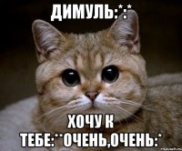 димуль:*:* хочу к тебе:**очень,очень:*