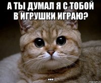 а ты думал я с тобой в игрушки играю? ...