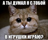 а ты думал я с тобой в игрушки играю?