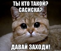 ты кто такой? сасиска? давай заходи!