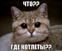 что?? где котлеты??