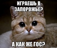 играешь в запорожье? а как же гос?