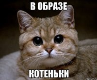 в образе котеньки