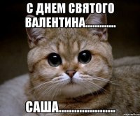 с днем святого валентина............. саша......................