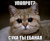 упопрот? сука ты ебаная