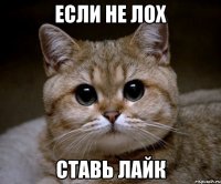 если не лох ставь лайк