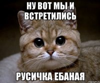 ну вот мы и встретились русичка ебаная