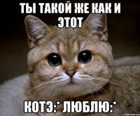 ты такой же как и этот котэ:* люблю:*