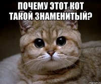 почему этот кот такой знаменитый? 