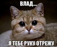 влад.... .....я тебе руку отрежу