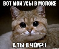 вот мои усы в молоке а ты в чём?:)