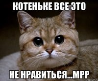 котеньке все это не нравиться...мрр