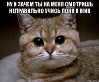 ну и зачем ты на меня смотришь неправильно учись покк я жив 