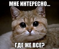 мне интересно... где же все?