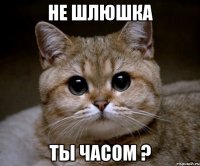 не шлюшка ты часом ?