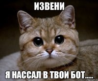 извени я нассал в твои бот.....