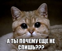  а ты почему еще не спишь???