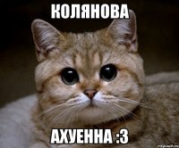 колянова ахуенна :3