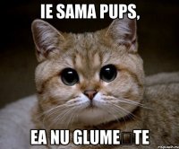 ie sama pups, ea nu glumește