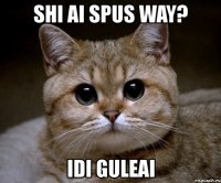 shi ai spus way? idi guleai