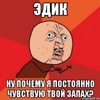 эдик ну почему я постоянно чувствую твой запах?