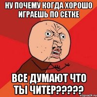 ну почему когда хорошо играешь по сетке все думают что ты читер???