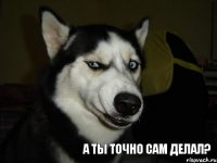 А ты точно сам делал?