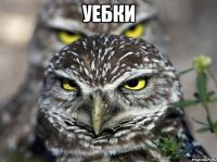 уебки 