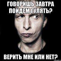 говоришь завтра пойдем гулять? верить мне или нет?