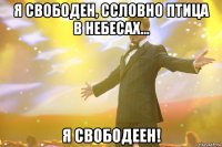 я свободен, ссловно птица в небесах... я свободеен!