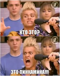 Кто это? ЭТО ПИНКАМИНА!!!
