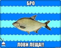 бро лови леща!!