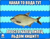 какая то вода тут просто капец пипец, льдом кишит!!