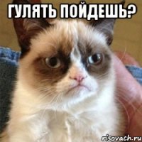 гулять пойдешь? 