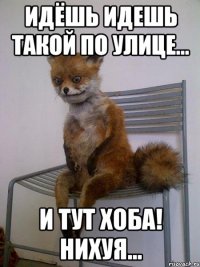 идёшь идешь такой по улице... и тут хоба! нихуя...