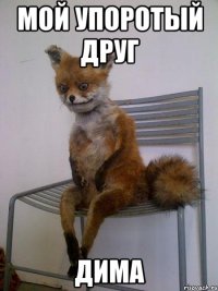 мой упоротый друг дима