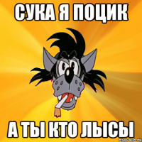 сука я поцик а ты кто лысы