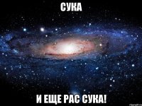 сука и еще рас сука!