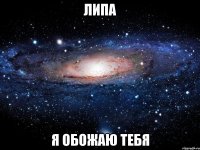 липа я обожаю тебя