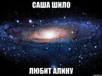 саша шило любит алину