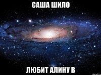 саша шило любит алину в