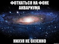 фоткаться на фоне аквариума нихуя не охуенно