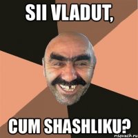 sii vladut, cum shashliku?