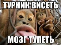 турник висеть мозг тупеть