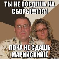 ты не поедешь на сборы!!!11!11 пока не сдашь марийский!ё