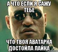 а что если я сажу тебе что твоя аватарка достойла лайка