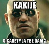 kakije sigarety ja tbe dam ?