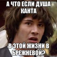 а что если душа канта в этой жизни в брежневой?