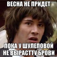 весна не придет пока у шулеповой не вырастту брови